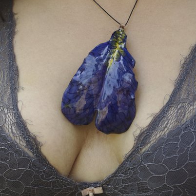 Pétalo de Iris