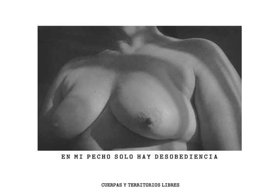 Pechos desnudos